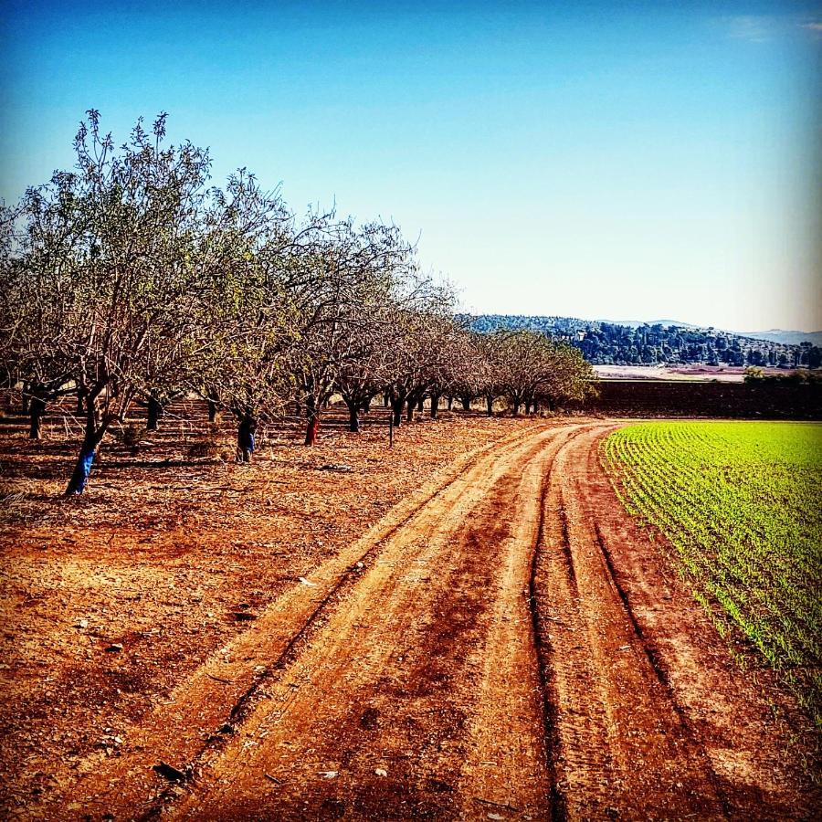 Kibbutz Nachshon Bed and Breakfast Exteriör bild