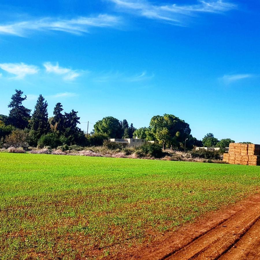 Kibbutz Nachshon Bed and Breakfast Exteriör bild